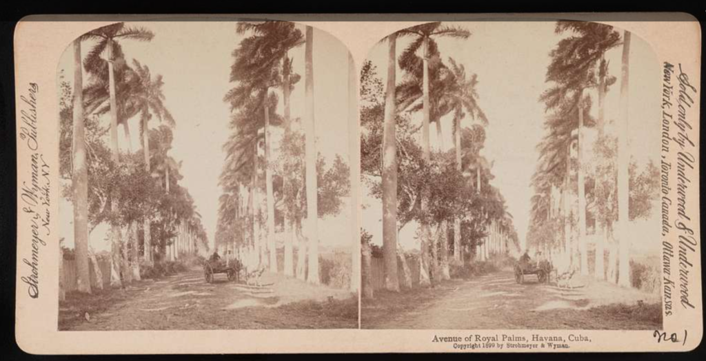 Screenshot 2025-03-04 164533